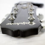 Do Any Professional Musicians Use Epiphone