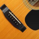 Do Acoustic Guitar Bridge Pins Make a Difference