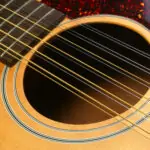12 String Guitar vs 6 String
