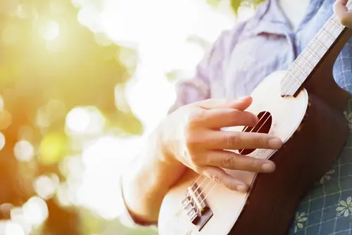 Chord Fretting