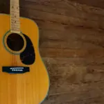What Type of Guitar Did George Harrison Play